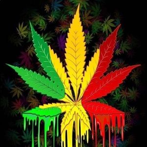 Meet your Posher, Jerome